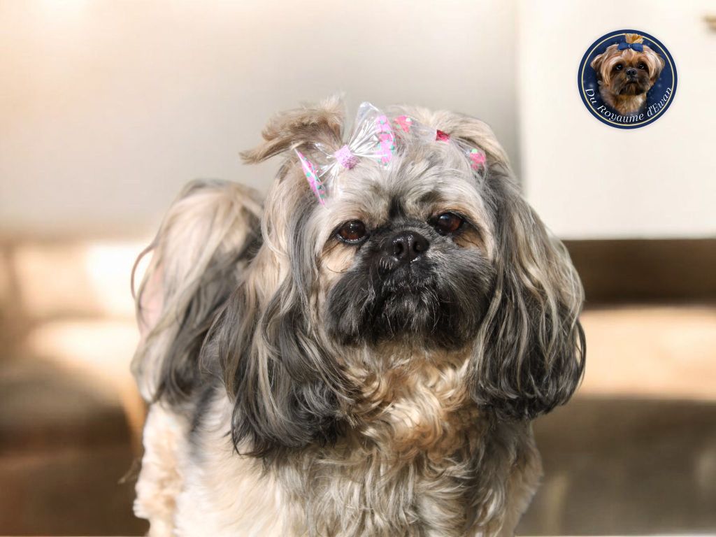 Sherley de la source aux diamants