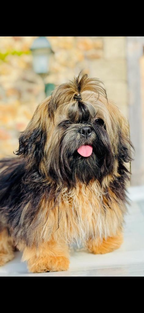 A'chady (Sans Affixe)